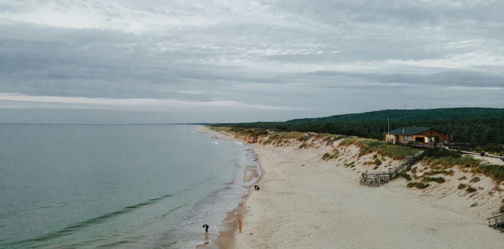 pexels-maksgelatin-9871925